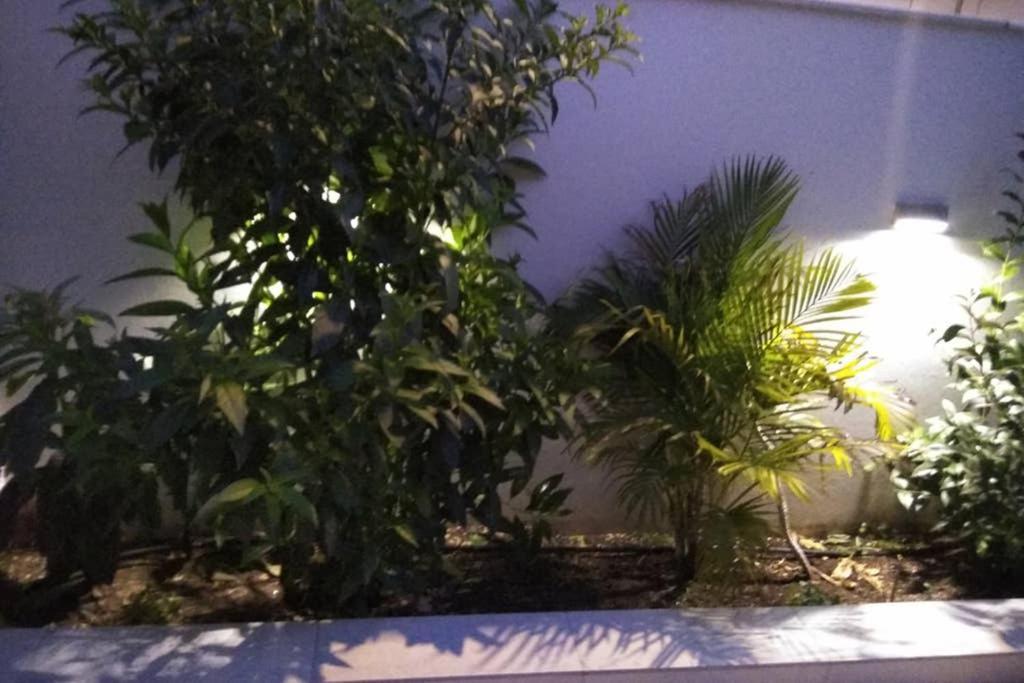 Apartment Arxontia 1 Kalamata