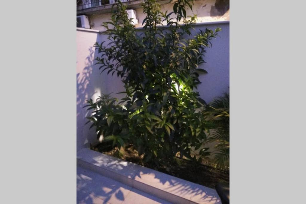 Arxontia 1 Apartment *