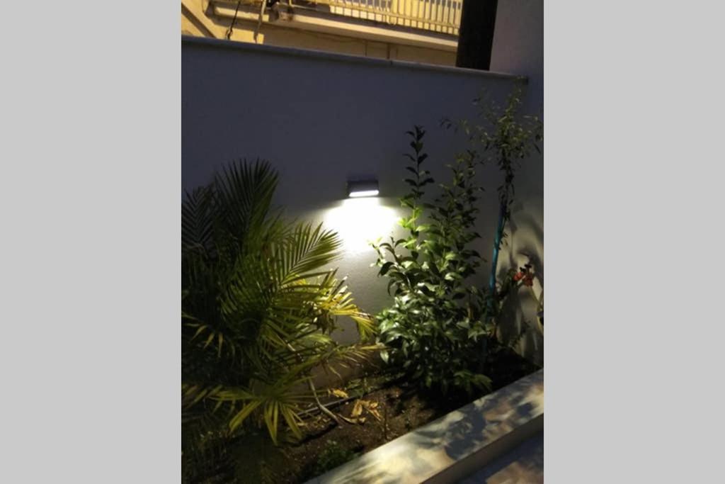Apartment Arxontia 1